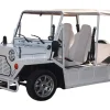 MINI-BUGGY