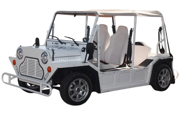 MINI-BUGGY