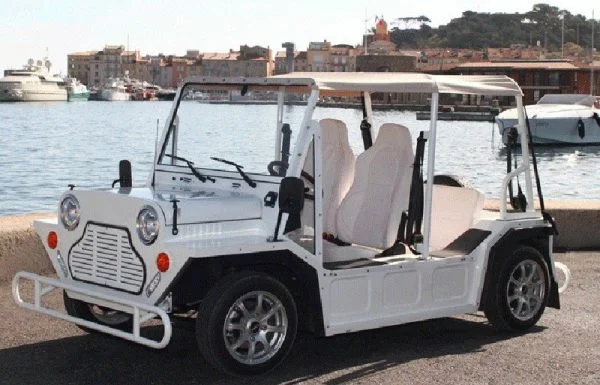 MINI-BUGGY - immagine 4