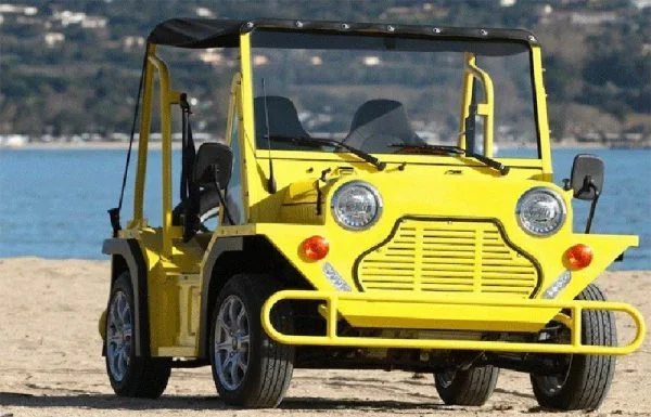 MINI-BUGGY - immagine 5