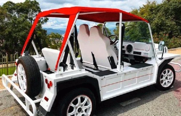 MINI-BUGGY - immagine 6