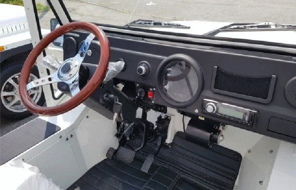 MINI-BUGGY - immagine 10
