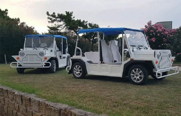 MINI-BUGGY - immagine 11