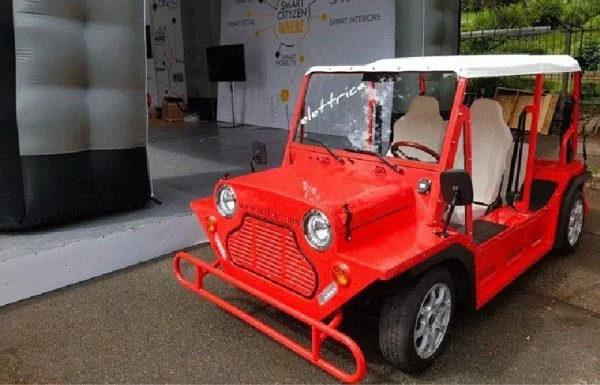 MINI-BUGGY - immagine 13